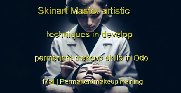 Skinart Master artistic techniques in develop permanent makeup skills in Odo Mal | PermanentmakeupTraining | PermanentmakeupClasses | SkinartTraining-Republic of Korea